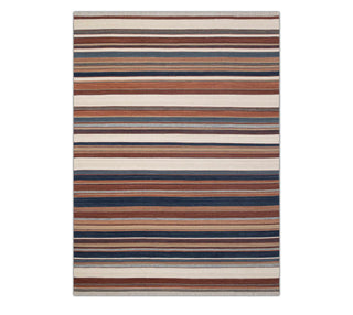 Multicolor Striped Rug